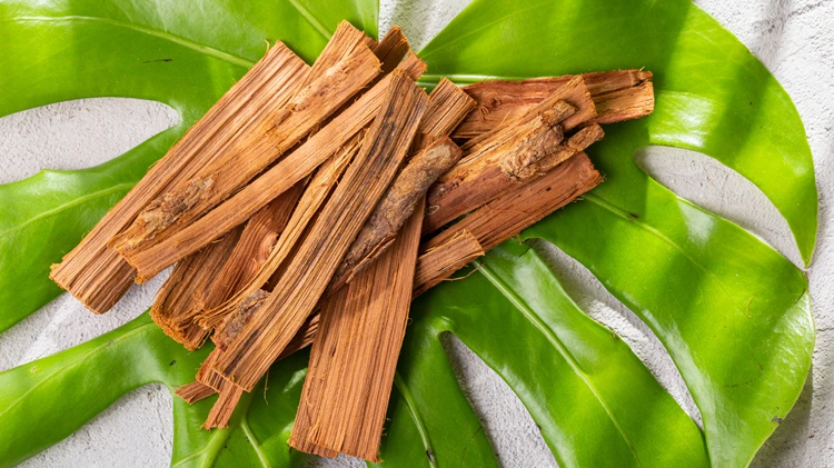 ac-11® (Uncaria Tomentosa Extract) benefits