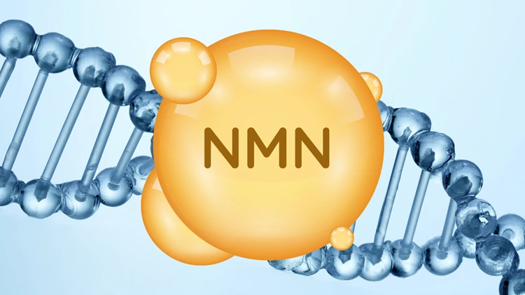NMN (Nicotinamide Mononucleotide) benefits