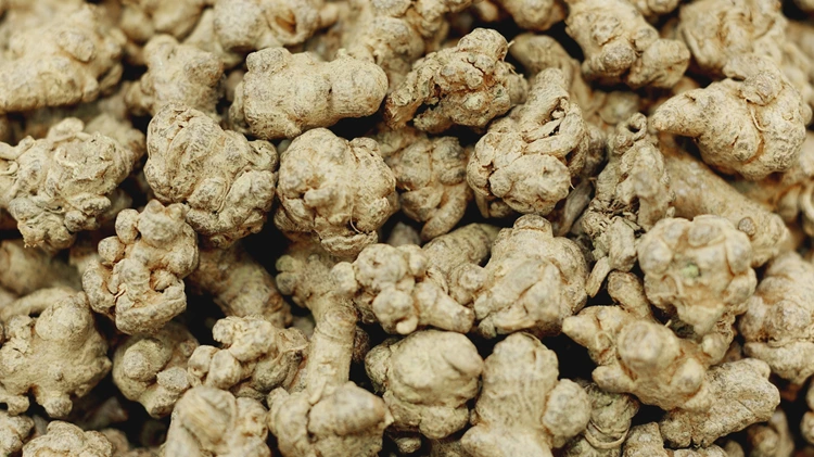 Notoginseng benefits