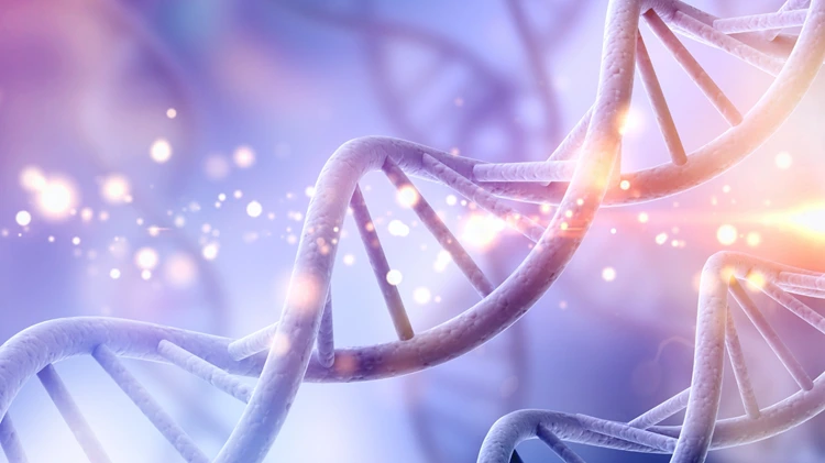 Repair & Protect DNA benefits