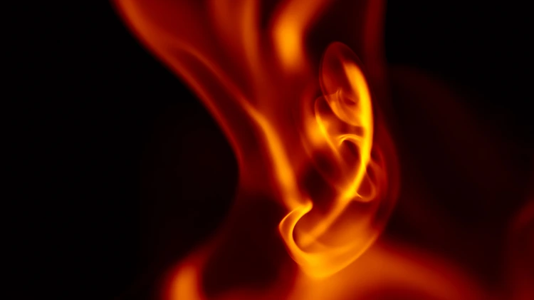 Thermogenesis & Metabolic Support benefits