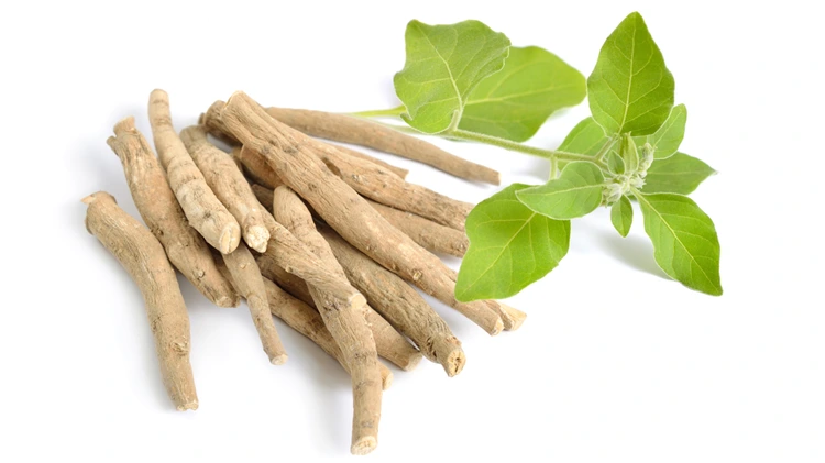 Ashwagandha Root benefits