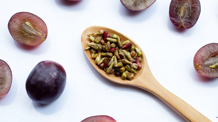 Grape Seed & Pine Bark Extracts benefits