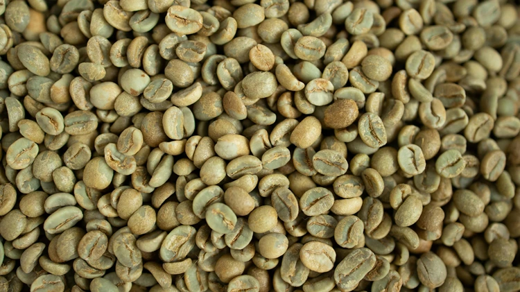 Green Coffee Bean benefits