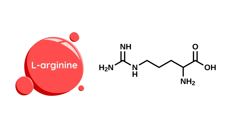 L-Arginine benefits