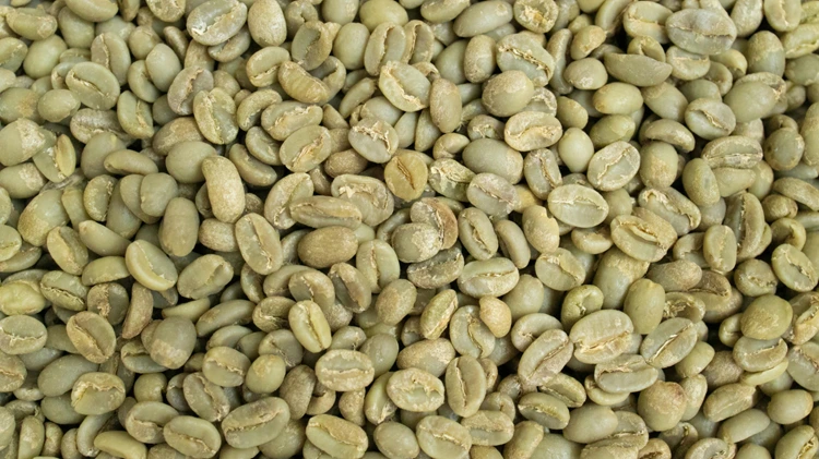 Green Coffee Bean benefits