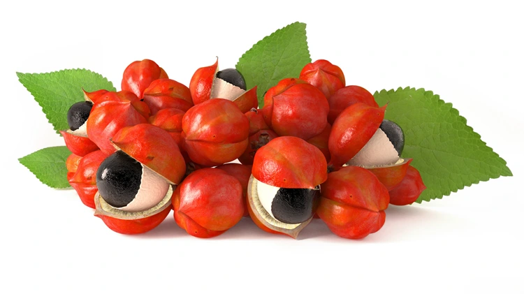 Guarana benefits